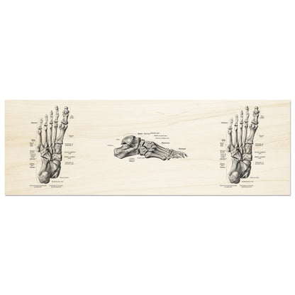 Jalkaterä, räätälöitävä | Anatomia | Vintage | 3-in-1 | Puutaulu